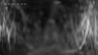 Archiv Foto Webcam Ladurns: Blick von der Bergstation Wastenegg 01:00