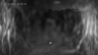 Archived image Webcam Ladurns - Wastenegg Top Station 03:00