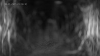 Archived image Webcam Ladurns - Wastenegg Top Station 21:00