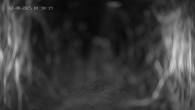 Archiv Foto Webcam Ladurns: Blick von der Bergstation Wastenegg 01:00