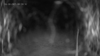 Archived image Webcam Ladurns - Wastenegg Top Station 23:00