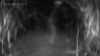 Archived image Webcam Ladurns - Wastenegg Top Station 01:00