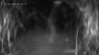 Archived image Webcam Ladurns - Wastenegg Top Station 03:00