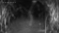 Archived image Webcam Ladurns - Wastenegg Top Station 05:00