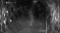 Archiv Foto Webcam Ladurns: Blick von der Bergstation Wastenegg 01:00