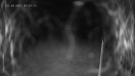 Archived image Webcam Ladurns - Wastenegg Top Station 17:00