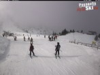 Archiv Foto Webcam Paganella: Skilift La Selletta 09:00