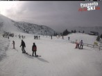 Archiv Foto Webcam Paganella: Skilift La Selletta 11:00