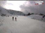 Archiv Foto Webcam Paganella: Skilift La Selletta 13:00