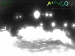 Archiv Foto Webcam Paganella: Skilift La Selletta 01:00