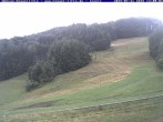 Archiv Foto Webcam Kessel-Alm in Inzell 11:00