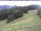 Archiv Foto Webcam Kessel-Alm in Inzell 11:00