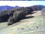 Archiv Foto Webcam Kessel-Alm in Inzell 08:00
