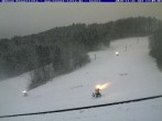 Archiv Foto Webcam Kessel-Alm in Inzell 15:00