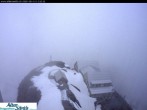 Archiv Foto Webcam Säntis (Ostschweiz): Blick Berggasthaus 11:00