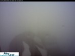 Archiv Foto Webcam Säntis (Ostschweiz): Blick Berggasthaus 05:00