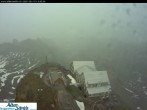 Archived image Webcam Säntis: Mountain Hut 17:00
