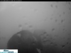Archiv Foto Webcam Säntis (Ostschweiz): Blick Berggasthaus 05:00