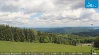 Archiv Foto Webcam Panorama - Bergstation Jauerling 11:00