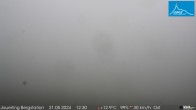 Archived image Webcam Panoramic view - mountain station Jauerling 11:00