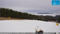 Archiv Foto Webcam Panorama - Bergstation Jauerling 11:00