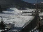 Archiv Foto Webcam Schlepplift - Puchberg am Schneeberg 11:00