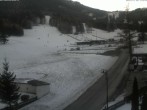 Archiv Foto Webcam Schlepplift - Puchberg am Schneeberg 15:00