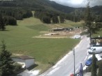 Archiv Foto Webcam Schlepplift - Puchberg am Schneeberg 11:00