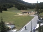 Archiv Foto Webcam Schlepplift - Puchberg am Schneeberg 11:00