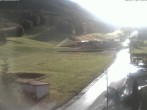 Archiv Foto Webcam Schlepplift - Puchberg am Schneeberg 17:00