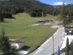Archiv Foto Webcam Schlepplift - Puchberg am Schneeberg 11:00
