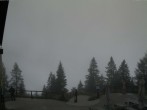 Archiv Foto Webcam Bergstation Katrin (Bad Ischl/Oberösterreich) 11:00