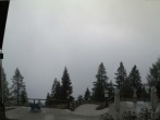 Archiv Foto Webcam Bergstation Katrin (Bad Ischl/Oberösterreich) 08:00