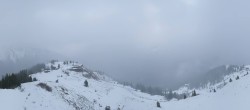 Archived image Webcam Hochsitz (1.820 m) 11:00