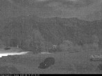 Archiv Foto Webcam Chemihüttli Apartments Axalp 03:00