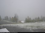 Archived image Webcam Axalp - Chamihüttli 07:00