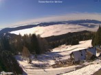 Archiv Foto Webcam Steiermark, Tonnerhütte 11:00