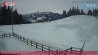 Archiv Foto Webcam Alberschwende, Alpengasthof Brüggele 11:00