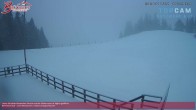 Archiv Foto Webcam Alberschwende, Alpengasthof Brüggele 15:00