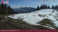 Archiv Foto Webcam Alberschwende, Alpengasthof Brüggele 13:00