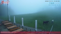Archiv Foto Webcam Alberschwende, Alpengasthof Brüggele 17:00