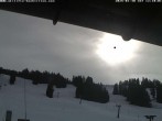 Archived image Webcam Hochlitten Riefensberg in Vorarlberg 11:00