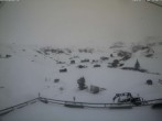 Archiv Foto Webcam Berghaus Heuberge 11:00