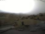 Archived image Webcam Restaurant Heuberge 08:00
