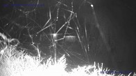 Archiv Foto Webcam Sankt Gallenkirch, Vorarlberg 23:00