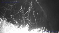 Archiv Foto Webcam Sankt Gallenkirch, Vorarlberg 01:00