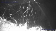 Archiv Foto Webcam Sankt Gallenkirch, Vorarlberg 03:00