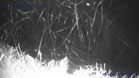 Archived image Webcam St. Gallenkirch, Vorarlberg 01:00