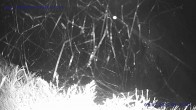 Archived image Webcam St. Gallenkirch, Vorarlberg 03:00