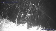 Archived image Webcam St. Gallenkirch, Vorarlberg 23:00